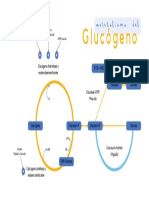 Mapa - Metabolismo Del Glucógeno
