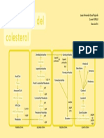 Metabolismo Del Colesterol