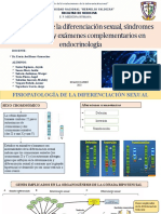 TEMA #7 - Fisiopatología de La Diferenciación Sexual, Síndromes Relacionados y Exámenes Complementarios en Endocrinología