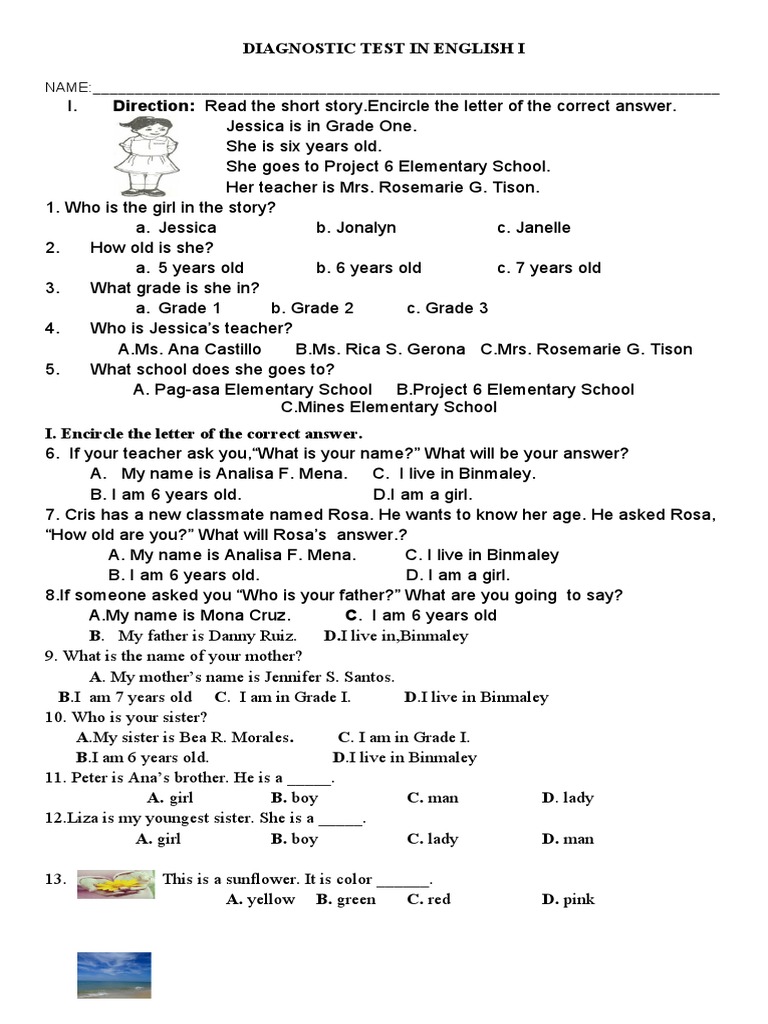 WHAT IS DIAGNOSTIC TEST IN EDUCATION PDF visual data 2