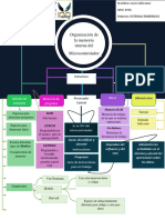 Organización memoria interna microcontrolador