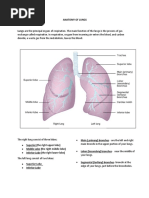 Anatomy and Physiology of Lungs | PDF | Lung | Respiratory Tract