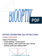 Biooptik