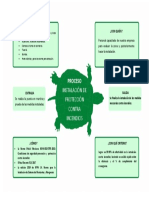 Diagrama Tortuga 1