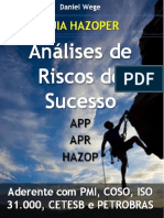 download-45336-Análises de Riscos de Sucesso__cap1_2-1616092