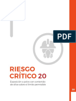 Riesgo Critico N°20