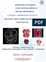 Desarrollo del corazón y la circulación fetal