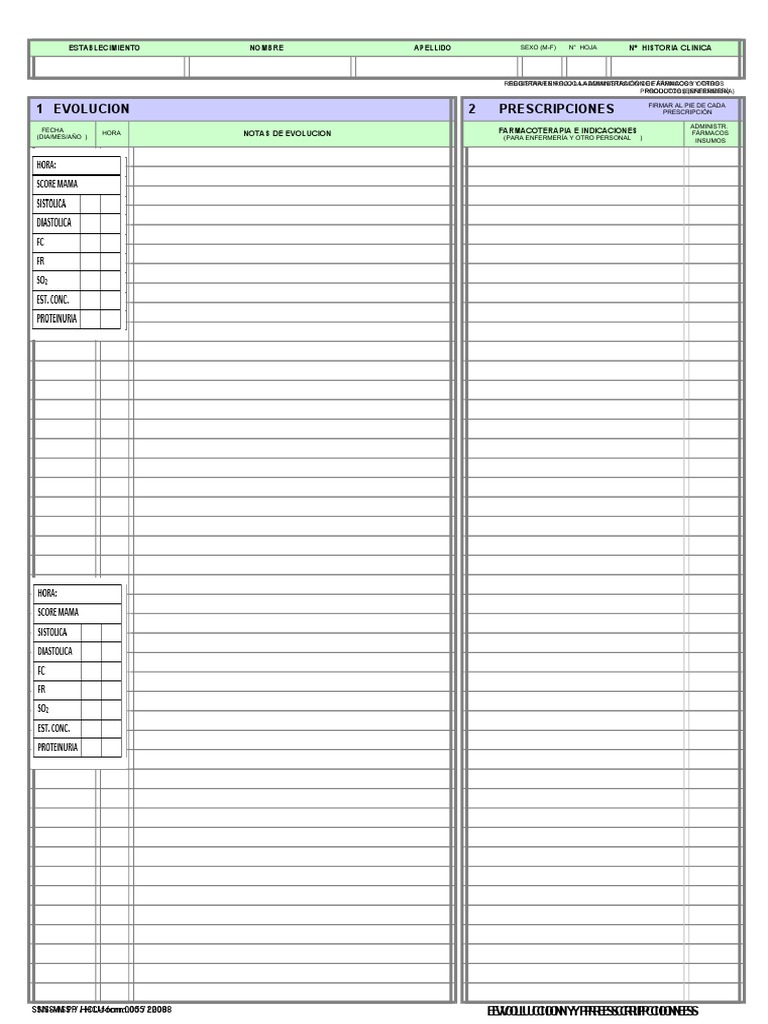 formulario-005-evolucion-y-score-mama-pdf