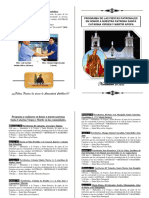 Programa Santa Catarina