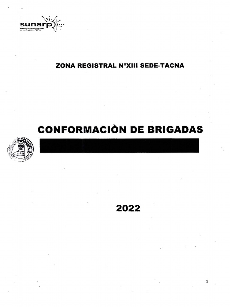 Brigadas 2022 pdf