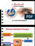 Penyuluhan DBD-DR - Intan