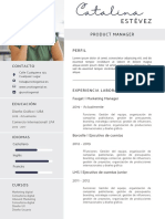 Curriculum Curriculo CV Profesional Minimalista Original