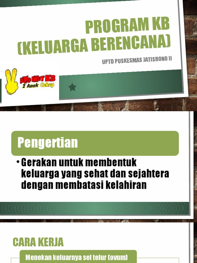 Program KB (Keluarga Berencana) | PDF