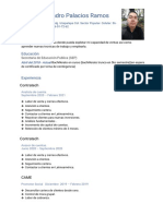 Javier Alejandro Palacios Ramos CV