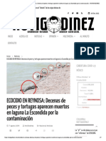 ECOCIDIO EN REYNOSA - Decenas de Peces y Tortugas Aparecen Muertos en Laguna La Escondida Por La Contaminación - NOTIGODÍNEZ