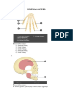 Remedial Osce Ibd