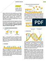 Introdução à citologia e replicação do DNA