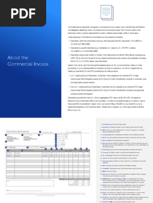 Ingrammicro_Invoice