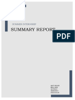 Summary Report