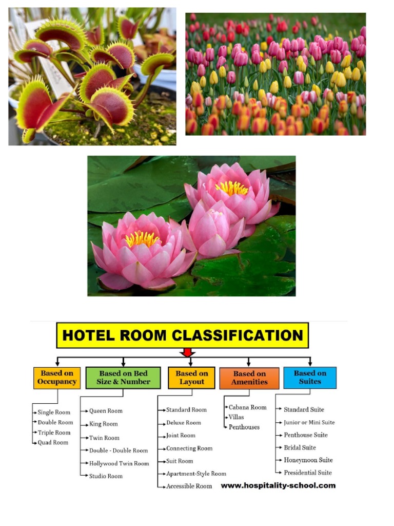 Teaching Materials PDF