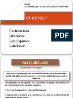 CURS Patologie Animala NR 7 Si 8