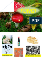 Fungi Kelompok 3