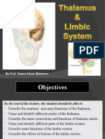 L20-Thalamus & Limbic System