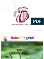 REINO_VEGETAL