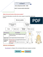 Nervous System Study Sheet