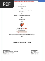 PDF Document