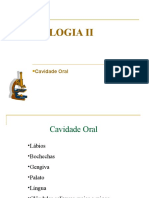 HistologiaI MDII Cavidade Oral1