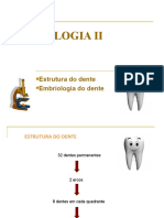 Histologia Dental