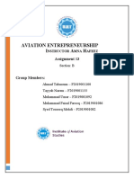 Aviation Entrepreneurship Assignment