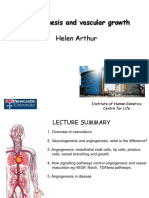 Angiogenesis and Vascular Growth: Helen Arthur