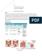 Stoma, Fistula, Perforasi