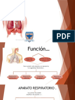 Idoc - Pub Sistema Respiratorio