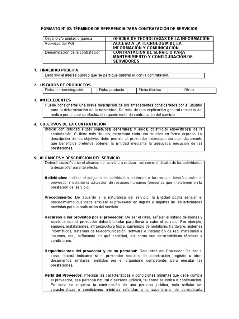 Modelo de TDR para Servicios de TI | PDF | Publicidad | Software