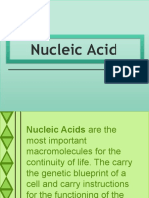 Nucleic Acid 1