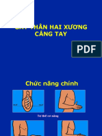 Gay 2 Xuong Cang Tay