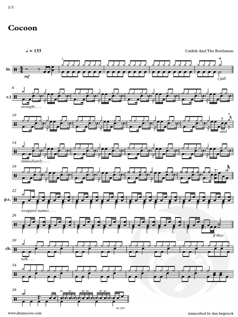 Catfish and The Bottlemen Cocoon (Drums) PDF