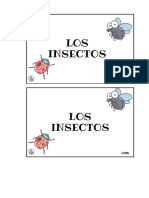 LOS Insectos: Emparejar