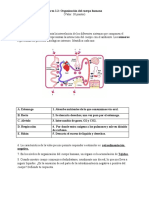 Biol 1.2