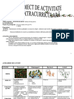 36 Proiect Didactic