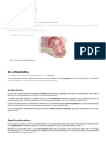 Placenta Development