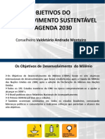 Apresentao ODS PDF