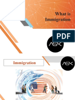 What Is Immigration