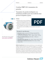 Endress-Hauser Cerabar PMP51B ES