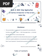 EMV Byte 2 - Chip Application Data