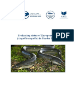 Evaluating Status of European Eel 20120620