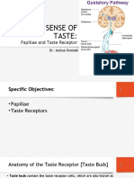 MED106 - The Sense of Taste